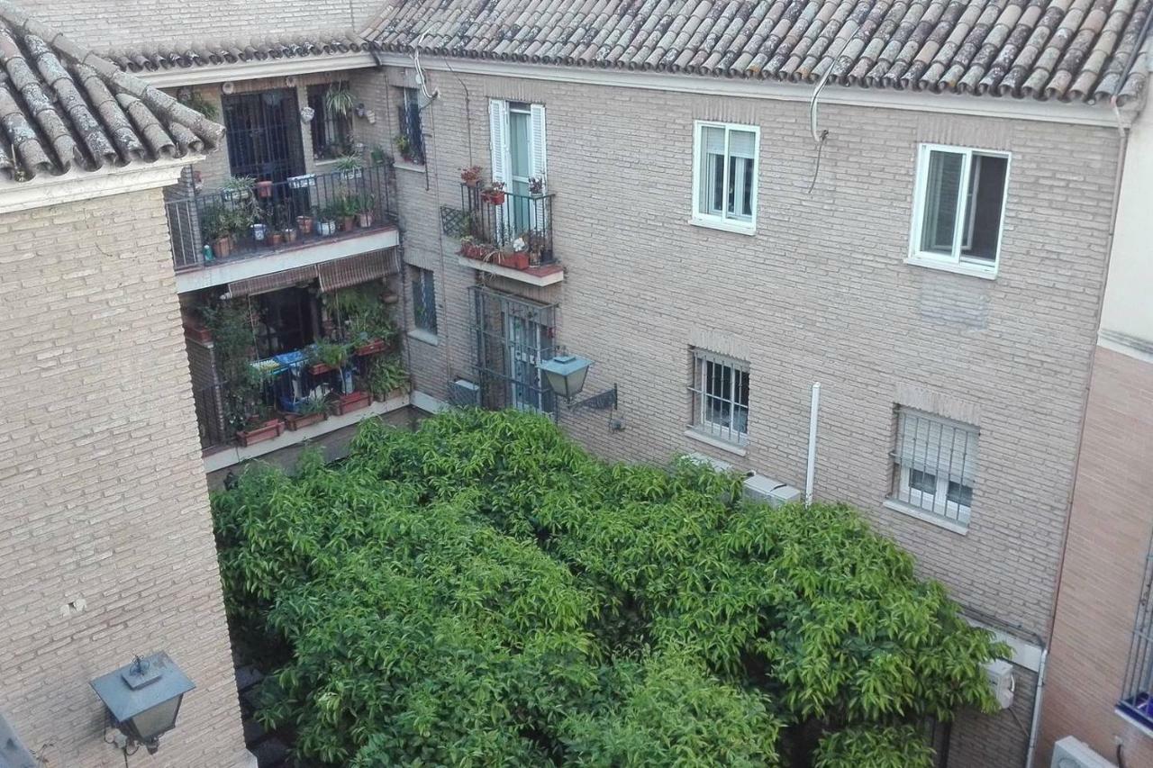 Alfalfa Home Sevilla Eksteriør billede